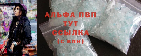 PSILOCYBIN Богданович