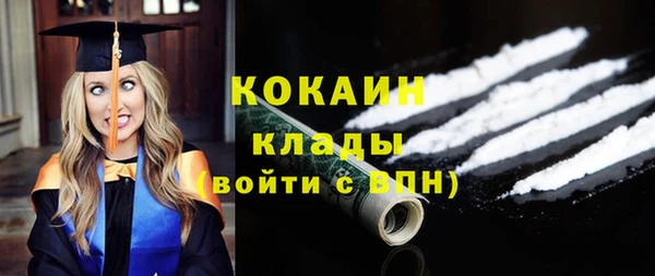 шишки Богородск