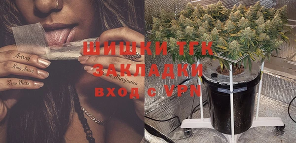 эйфоретик Аркадак