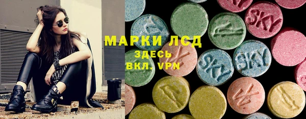 эйфоретик Аркадак