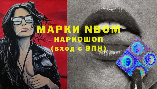 PSILOCYBIN Богданович