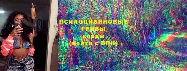 PSILOCYBIN Богданович